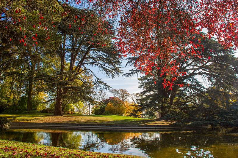 Domaine de Saint Cloud